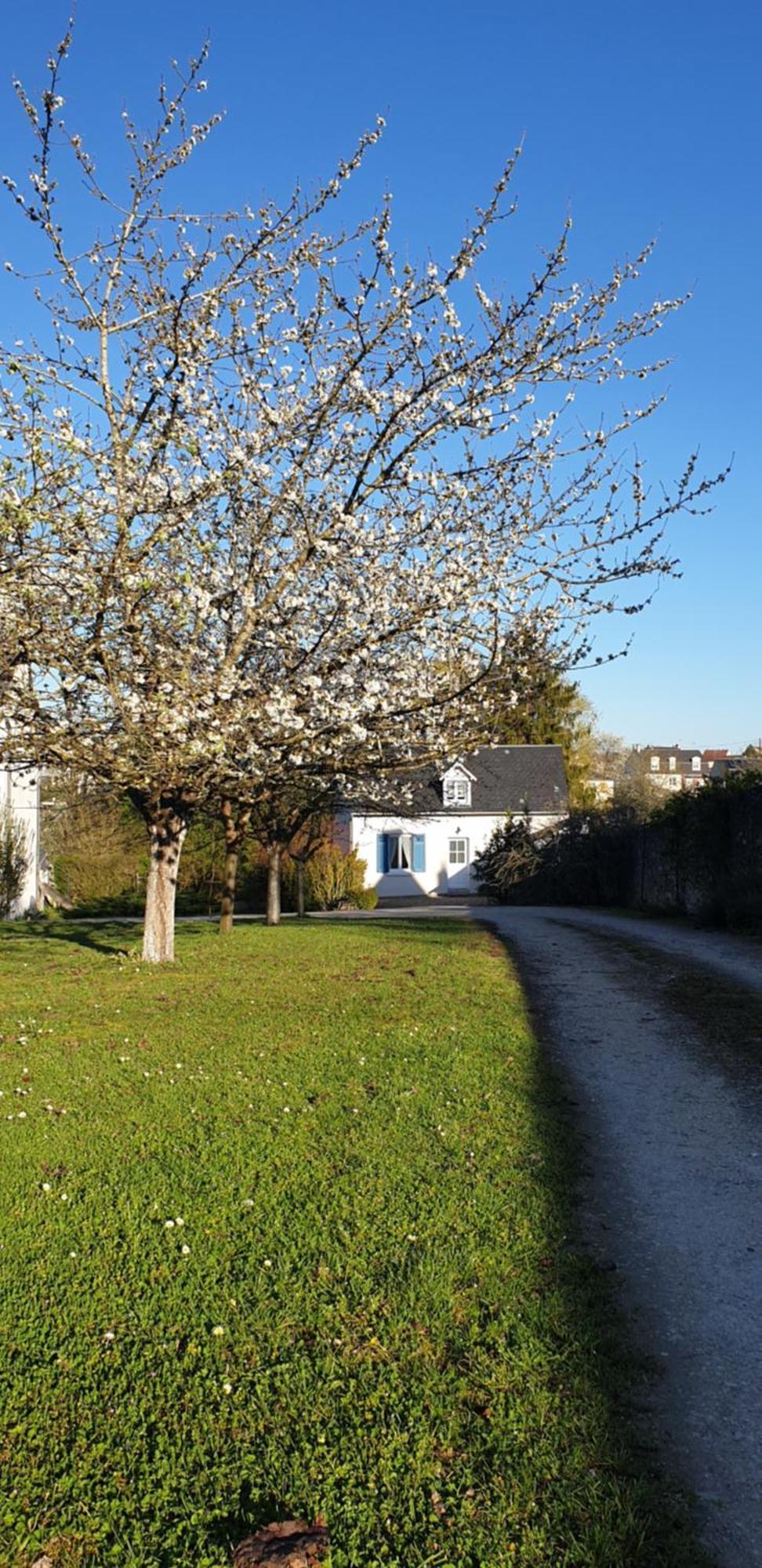 Gite Le Fruitier Beaugency Exterior photo